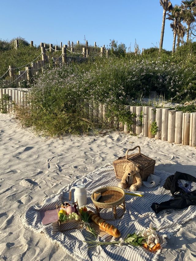 노을맛집 🌅 피크닉