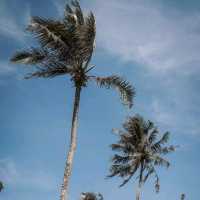 Rest Sea Resort Koh Kood