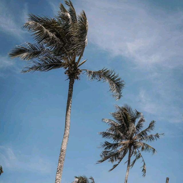 Rest Sea Resort Koh Kood