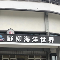 野柳海洋世界💕小朋友放電必選