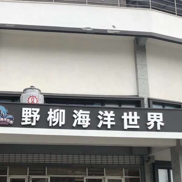 野柳海洋世界💕小朋友放電必選