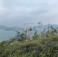 近距離欣賞青馬大橋—青衣自然徑