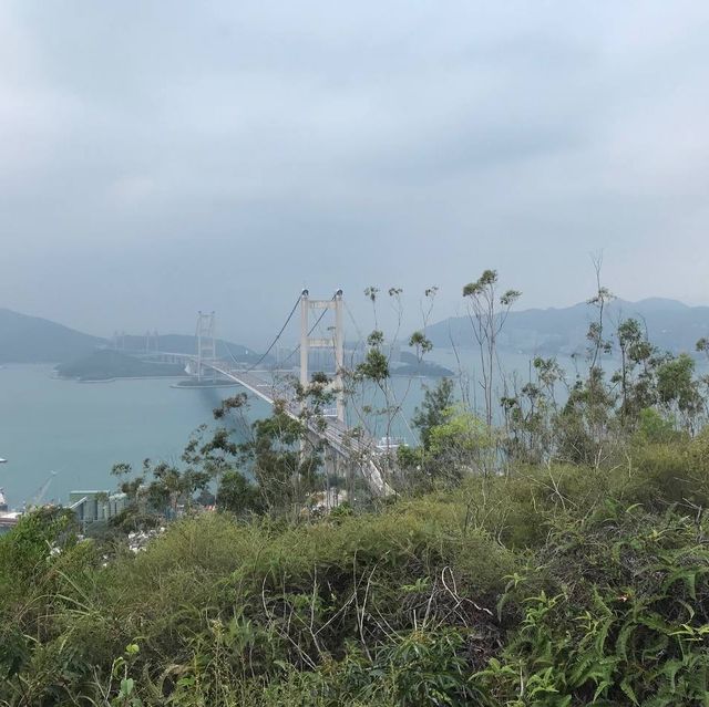 近距離欣賞青馬大橋—青衣自然徑