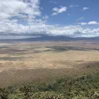 Wildlifes at their best, Ngorongoro