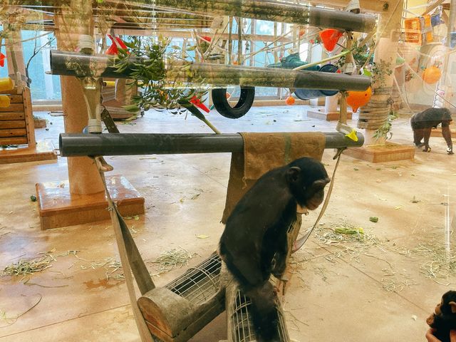 名古屋【東山動植物園】