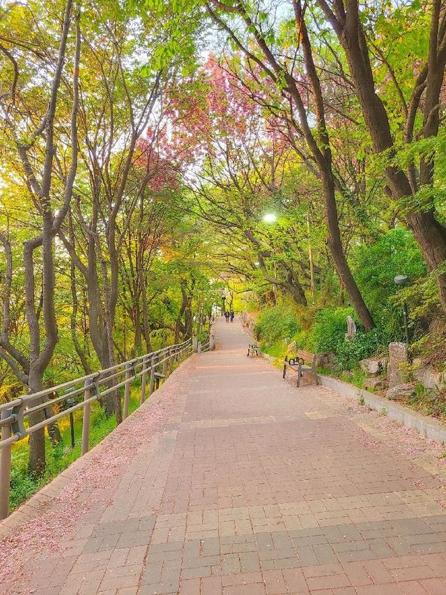인천 자유공원, 봄 나들이 장소로 추천