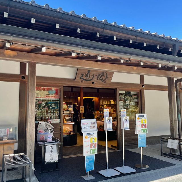 【銀閣寺】わびさびの世界観が美しい🇯🇵👘