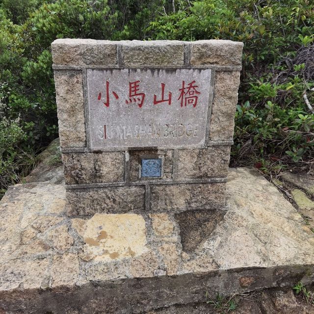 由鬧市幾分鐘行到鳥語花香的山林間