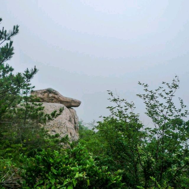 장흥 천관산 등산