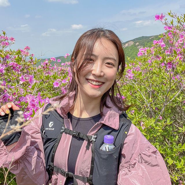  철쭉 군락지 Top1 황매산! 철쭉이 져도 즐길 수 있다!