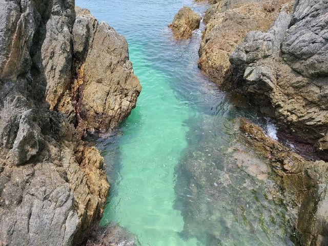 港版加勒比🏝️