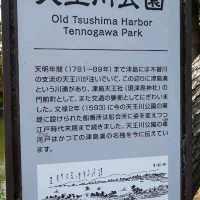 東洋一の藤棚