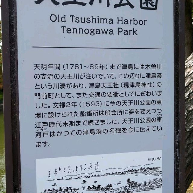 東洋一の藤棚
