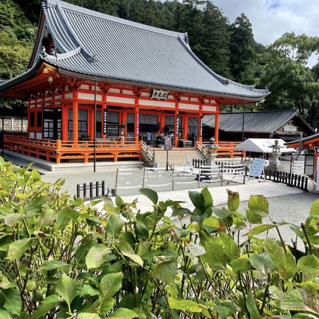 Chùa katsuo-ji ngôi chùa của sự may mắn 