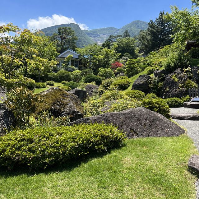 【神奈川】美しい苔を眺めながら散策を楽しむ