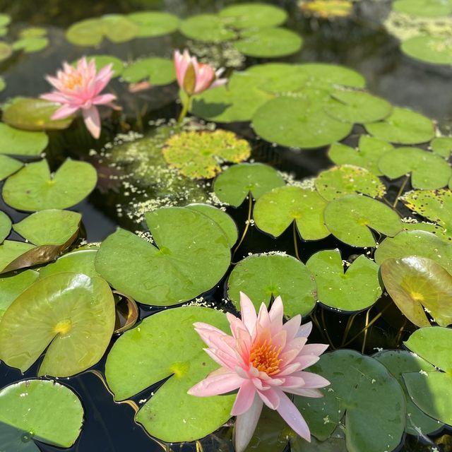 慈山寺一日遊(下)
