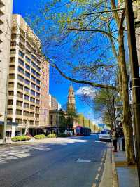 Adelaide blue sky in spring 