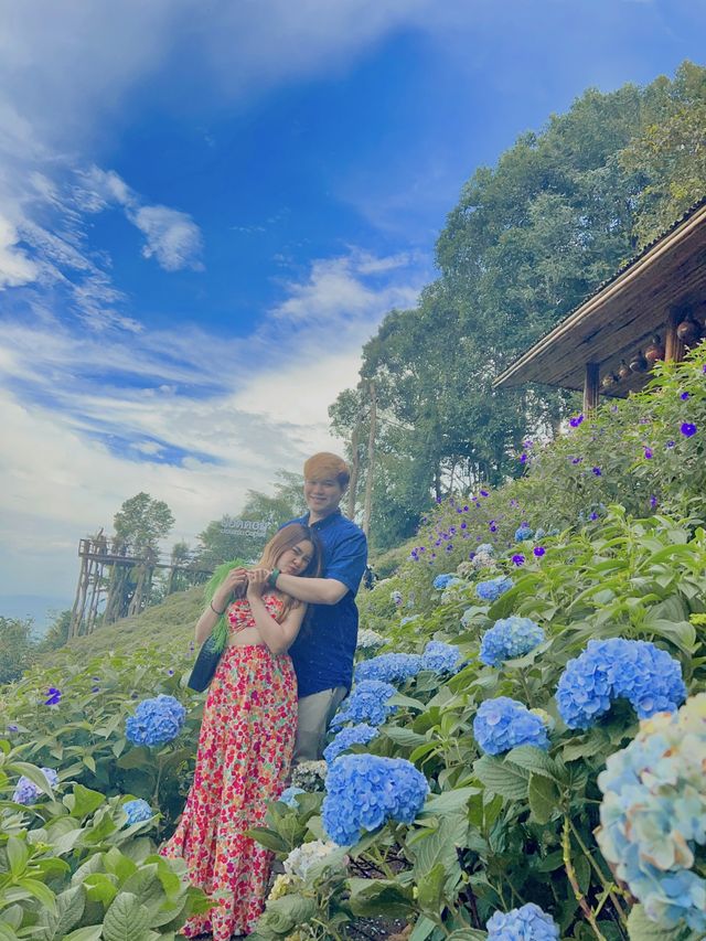 พาไปจิบกาแฟ ชมวิว ชมดอก กับคาเฟ่ชื่อดังบนม่อนแจ่ม⛰