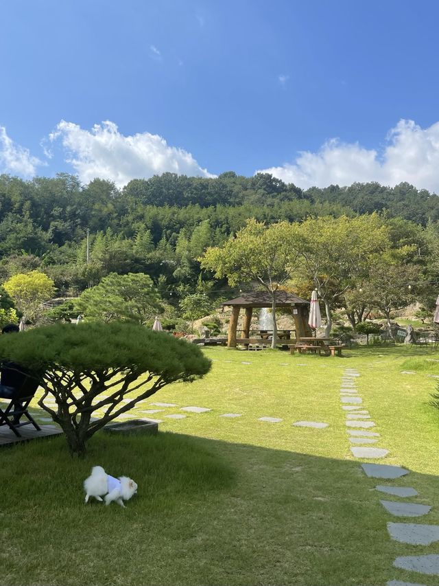 넓은 정원이 있는 애견동반 카페,베르데🌿