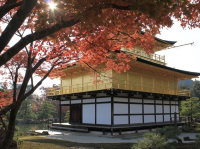 Kinnkakuji Temple at Kyoto Japan 🇯🇵 