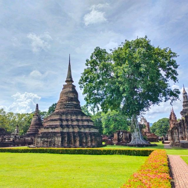 วัดมหาธาตุ สุโขทัย