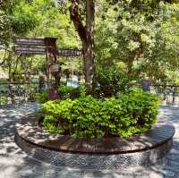 礁溪溫泉公園｜邊聽音樂邊泡足湯