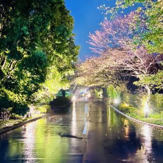 Don't go to hotels near Narita Airport!!