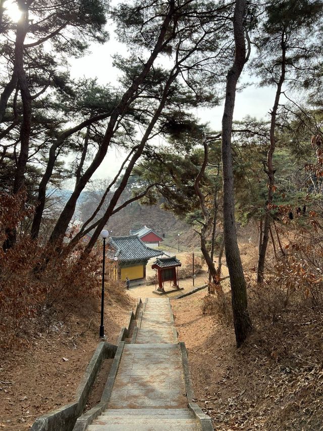 여주 가볼만한 사찰 신륵사