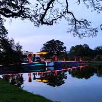 Century-old Raintrees Walk 