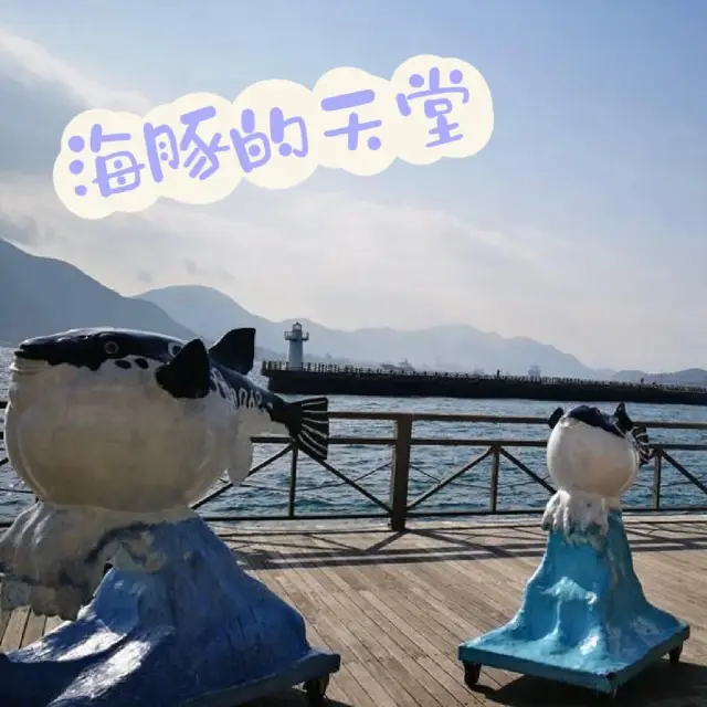 海豚天堂🐬人氣熱點@海鮮屋台街🎏 新鮮生魚片握壽司🍣