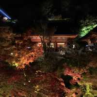 京都紅葉2022  清水寺のライトアップに圧倒される！