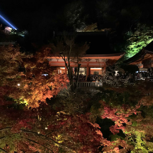 京都紅葉2022  清水寺のライトアップに圧倒される！
