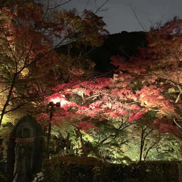 京都紅葉2022  清水寺のライトアップに圧倒される！