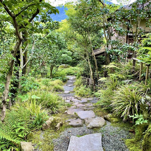 白雲洞茶苑