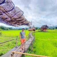 บ้านนอก ฮอกควาย สบายๆ เมืองคอง