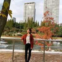[Voyage17.] 곧 있으면 송도 센트럴파크에서 볼 수 있는 가을 풍경🍂🍁^^