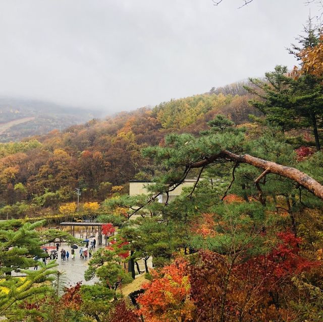가을의 단풍명소 ‘화담숲’