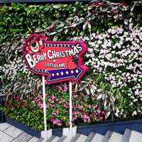 新都會廣場Berry Christmas in Lotsoland  聖誕裝飾吸引又有趣