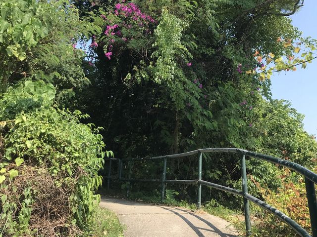 渡假好去處🌴