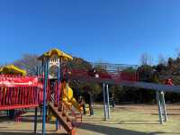 名古屋•守山⛰かなり広い公園、そしてお洒落レストランも【小幡緑地】