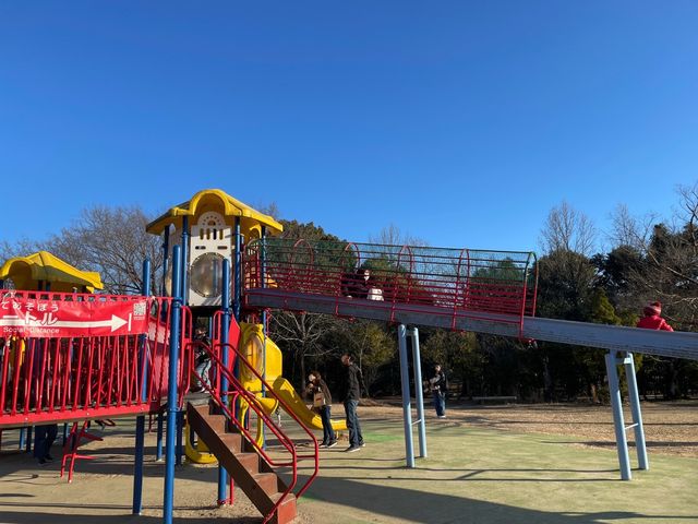 名古屋•守山⛰かなり広い公園、そしてお洒落レストランも【小幡緑地】