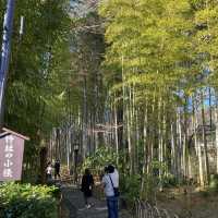 修善寺『竹林の小径』