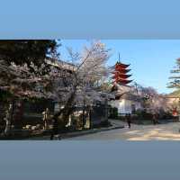 Miyajima Island