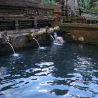 Holy Springs of Tirta Empul