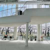【北海道:函館】日本100名城の星形要塞で絶景を楽しむ