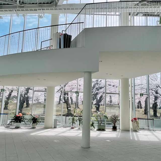 【北海道:函館】日本100名城の星形要塞で絶景を楽しむ