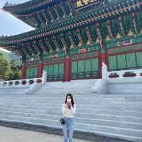 산청한방테마파크 동의보감촌에서 출렁다리 체험하기!