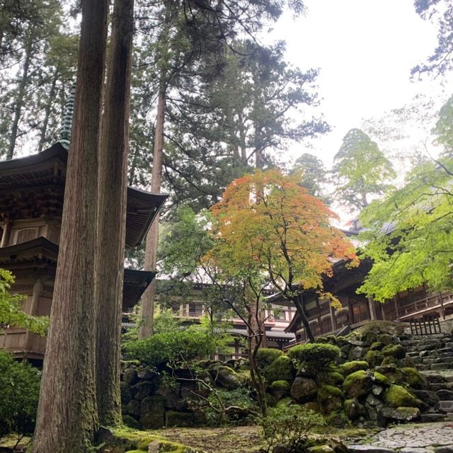 福井県にある永平寺にやってきた！