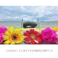 【北海道】安藤忠雄設計の礼拝空間