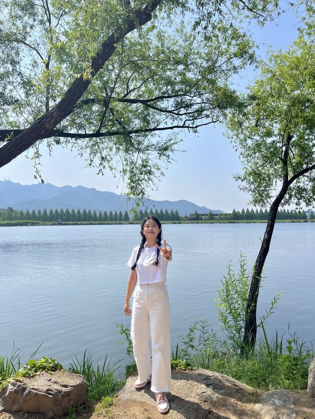[과천] 과천에 꽁꽁 숨겨둔 아름다운 피크닉 존/풍성한 장미 꽃동산🌹